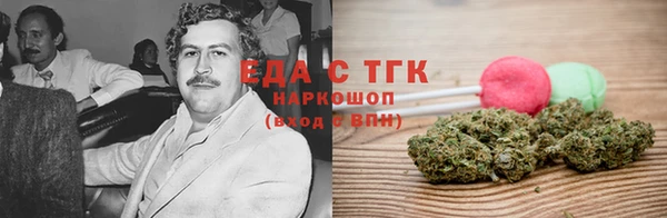 тгк Абаза