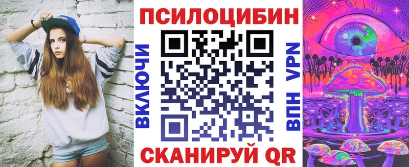 Псилоцибиновые грибы мицелий  Княгинино 